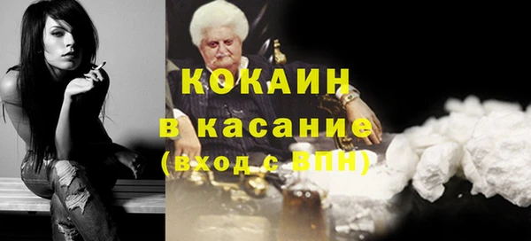 стафф Новодвинск