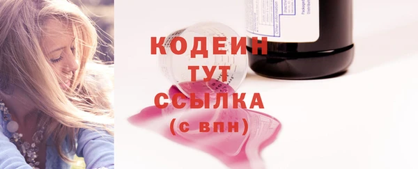 стафф Новодвинск