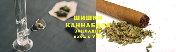 стафф Новодвинск
