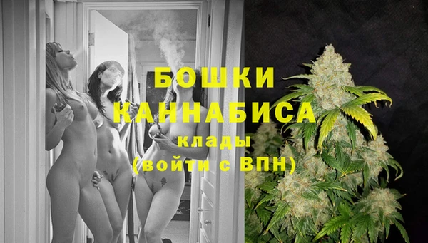 стафф Новодвинск