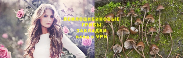 стафф Новодвинск