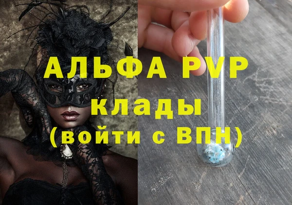 стафф Новодвинск