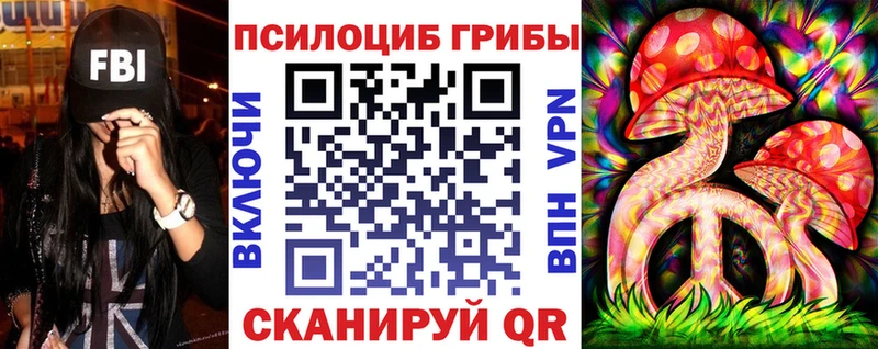 это телеграм  Курган  Псилоцибиновые грибы ЛСД  продажа наркотиков 
