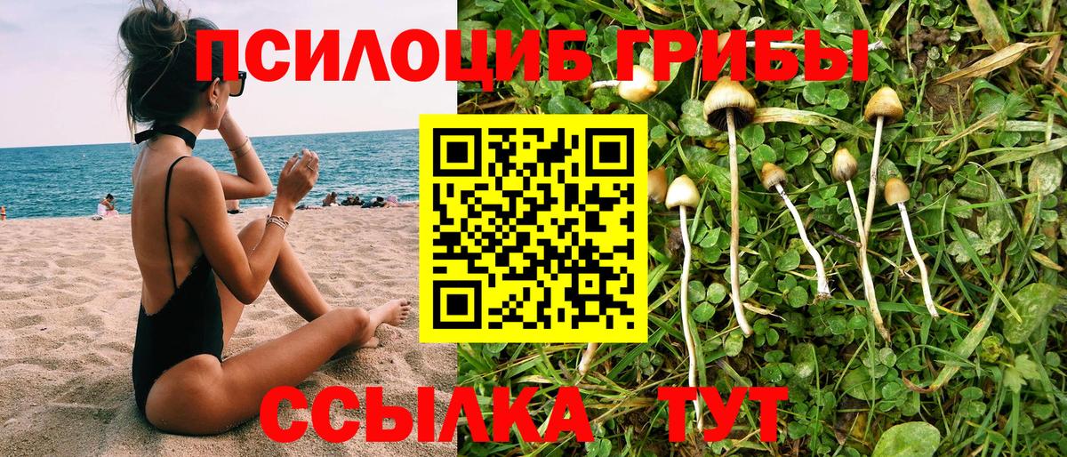 Галлюциногенные грибы ЛСД  Галлюциногенные грибы прущие грибы  Курган  Вход с VPN 